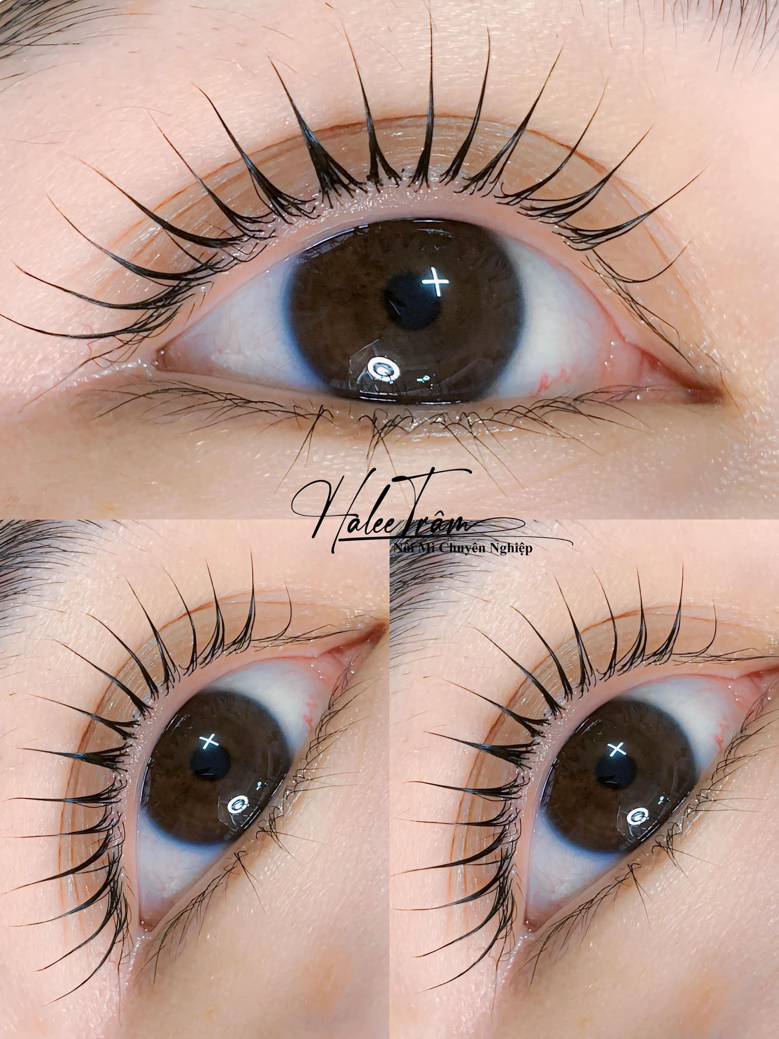 Hút Dung Dịch Lỗi Trổ Xanh Đỏ Est aut Siêu Hiện Đại